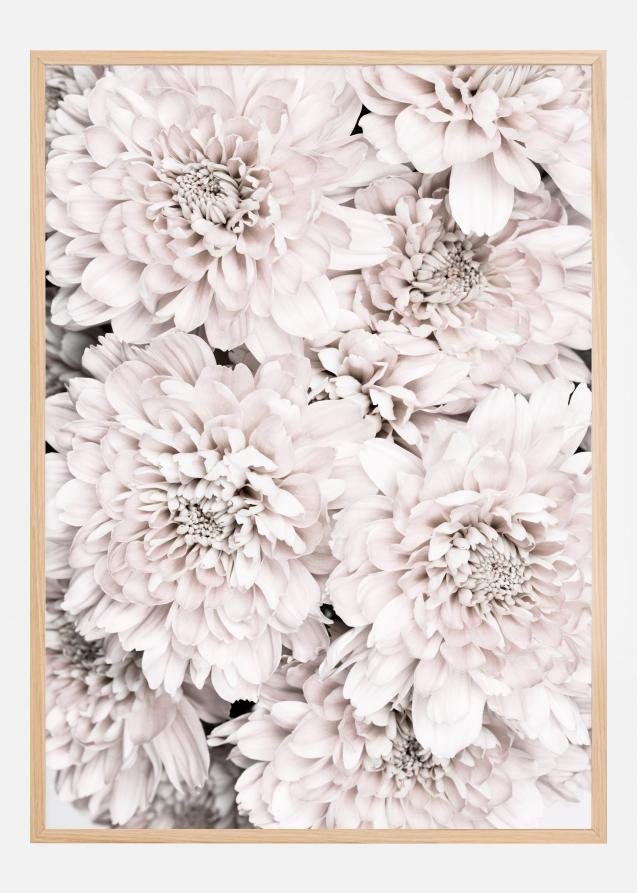 Bildverkstad Chrysanthemum II Poster
