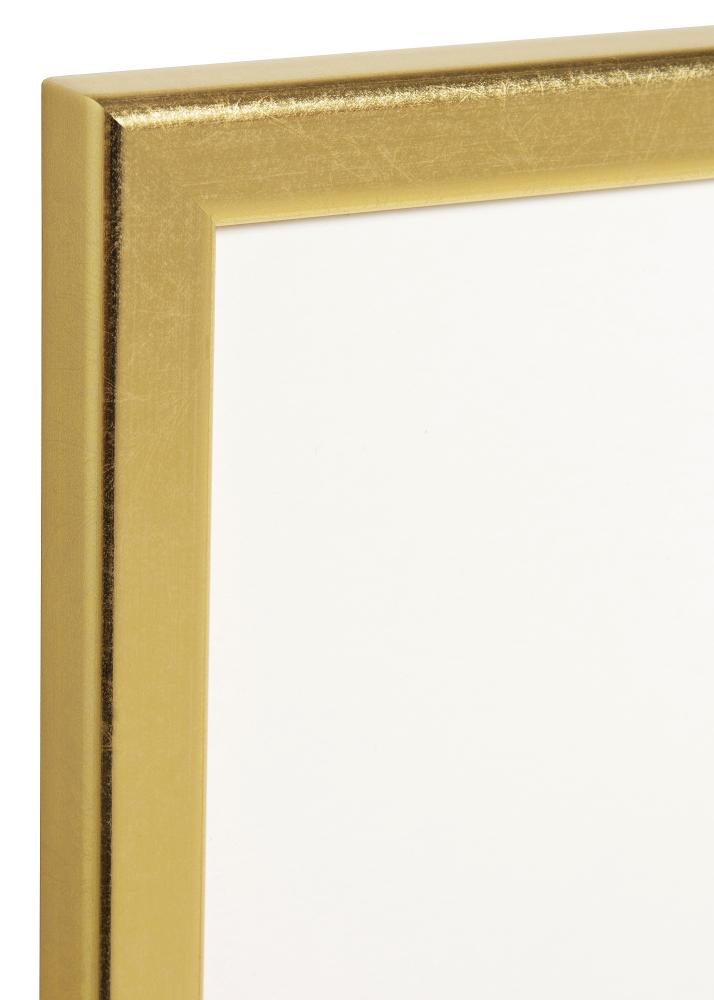 HHC Distribution Frame Slim Matt Anti-reflective glass Gold 13x17 cm