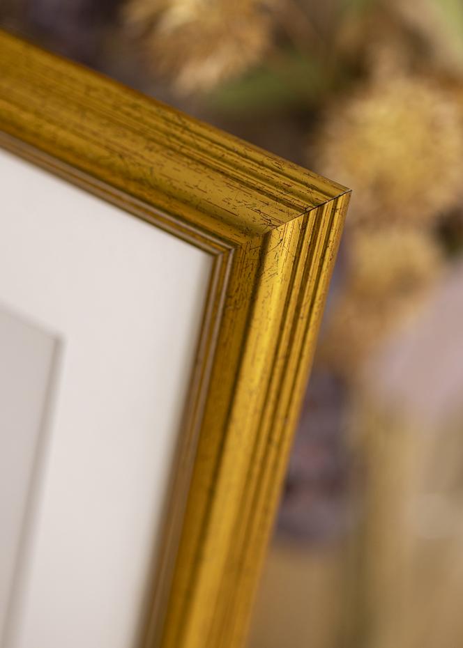 Galleri 1 Frame Vstkusten Acrylic glass Gold 32x45 cm
