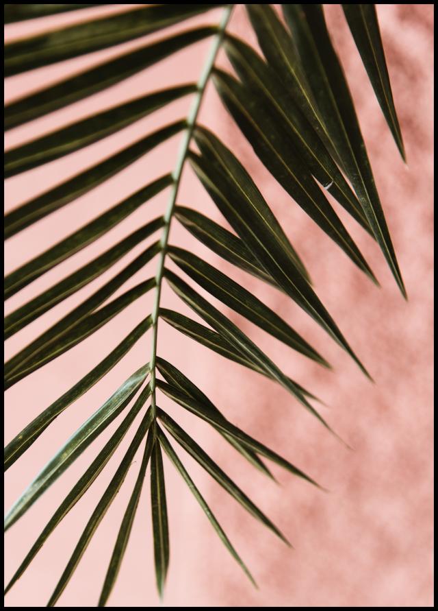 Lagervaror egen produktion Pink pastell palm Poster