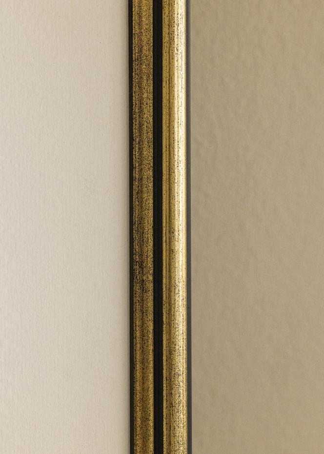 Galleri 1 Frame Horndal Acrylic Glass Gold 42x59.4 cm (A2)
