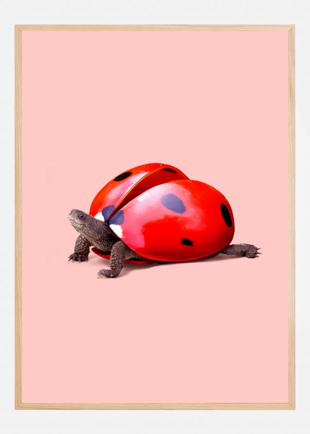 Bildverkstad Ladybug Turtle Poster