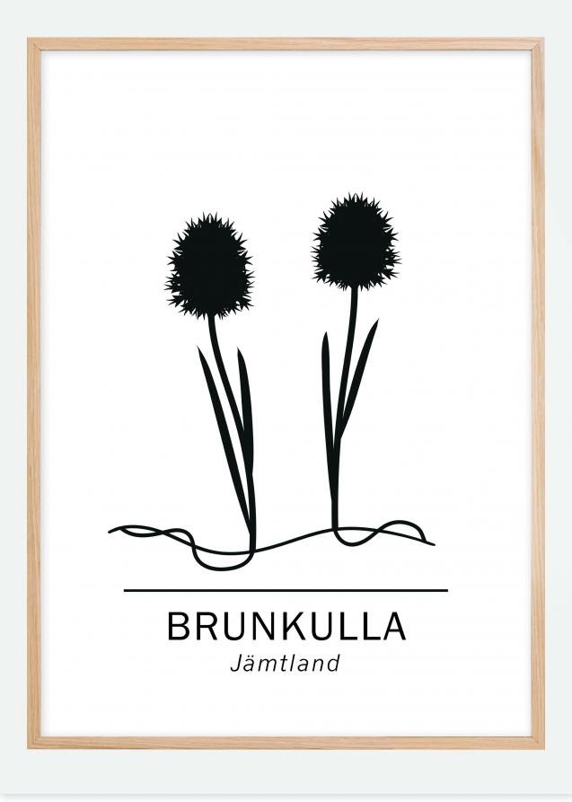 Bildverkstad Gymnadenia nigra - Jämtland Poster