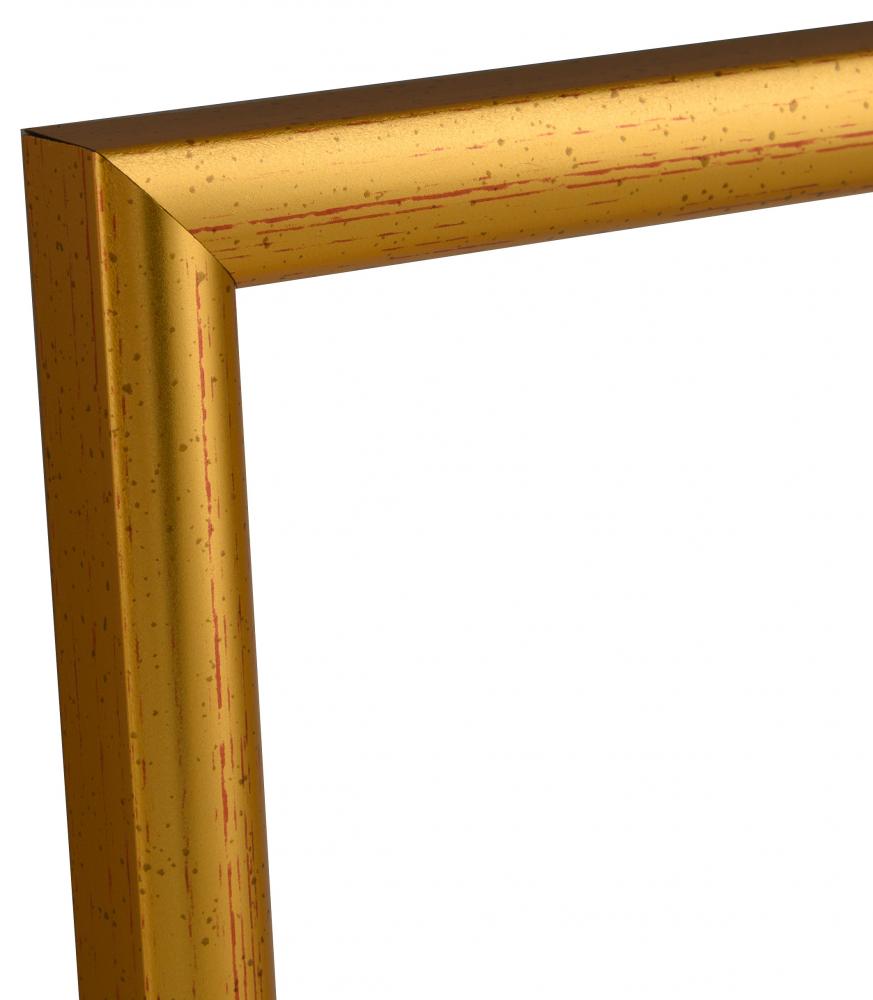 Estancia Frame Newline Gold 18x24 cm