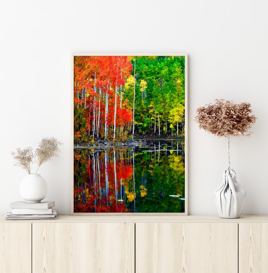 Bildverkstad Colourful Trees By The Lake Poster