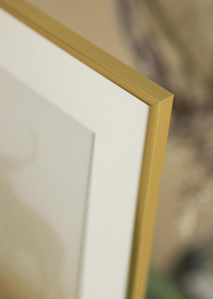 BGA Nordic Frame New Lifestyle Gold 40x50 cm