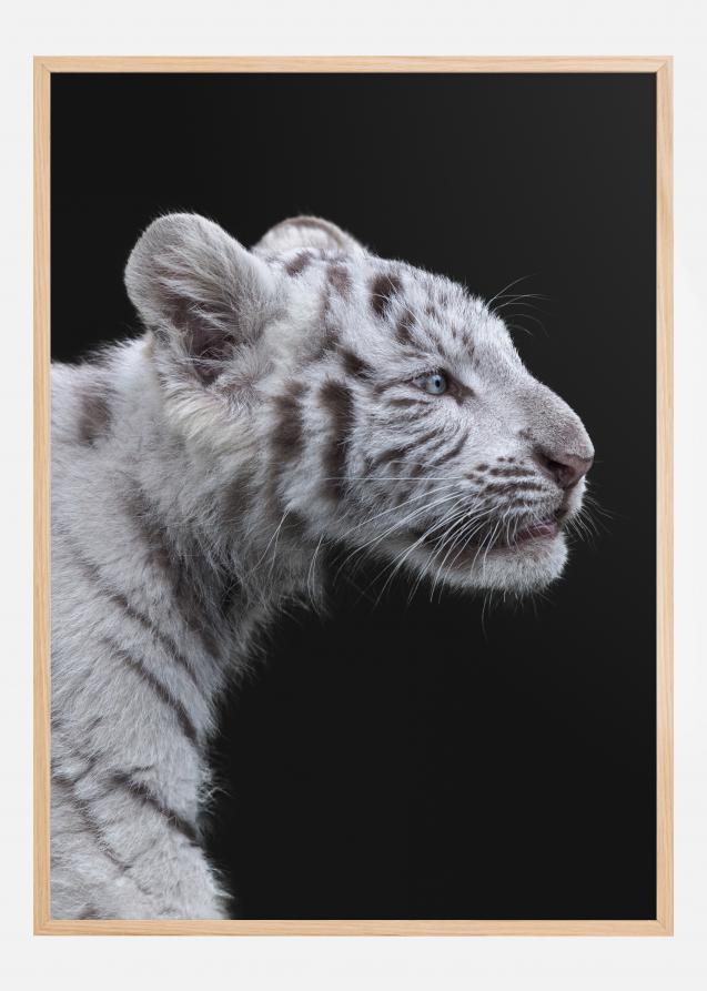Bildverkstad White tiger Poster