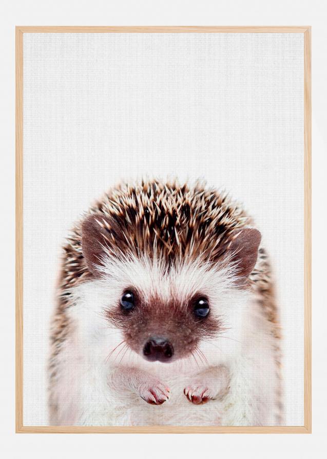 Bildverkstad Peekaboo Hedgehog Poster