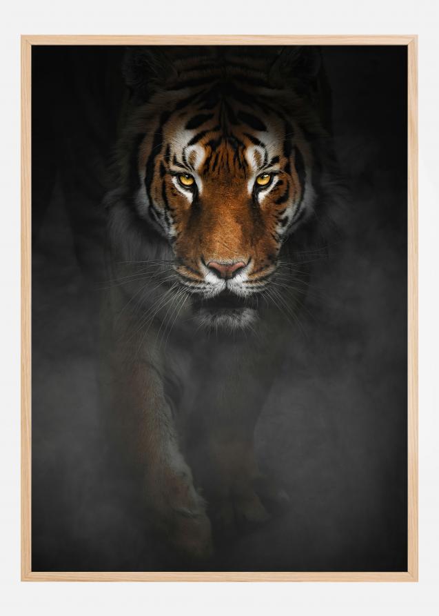 Bildverkstad Intense Tiger Poster