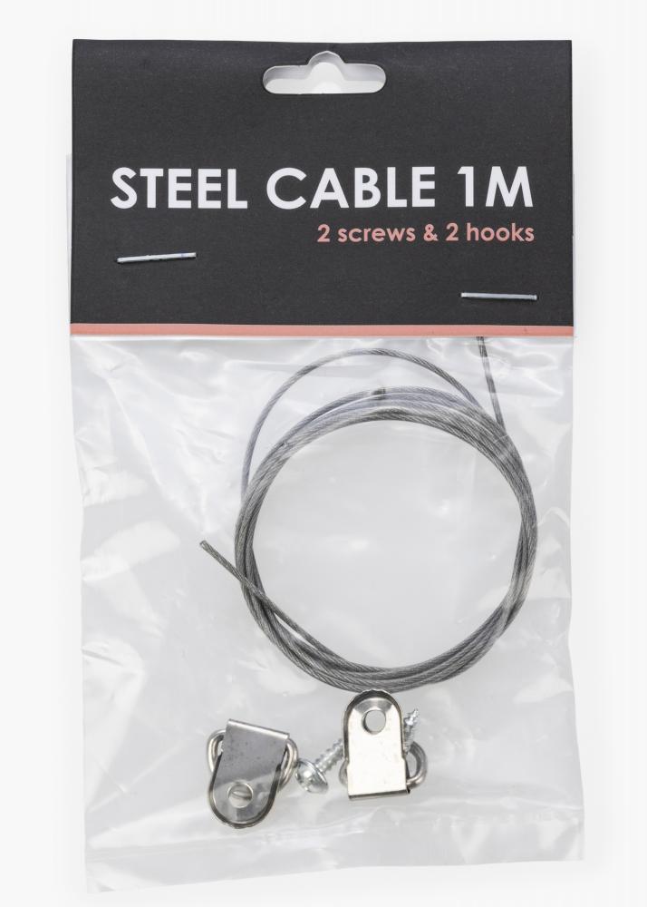 BGA BGA Steel cable 1m + 2 screws & 2 hooks