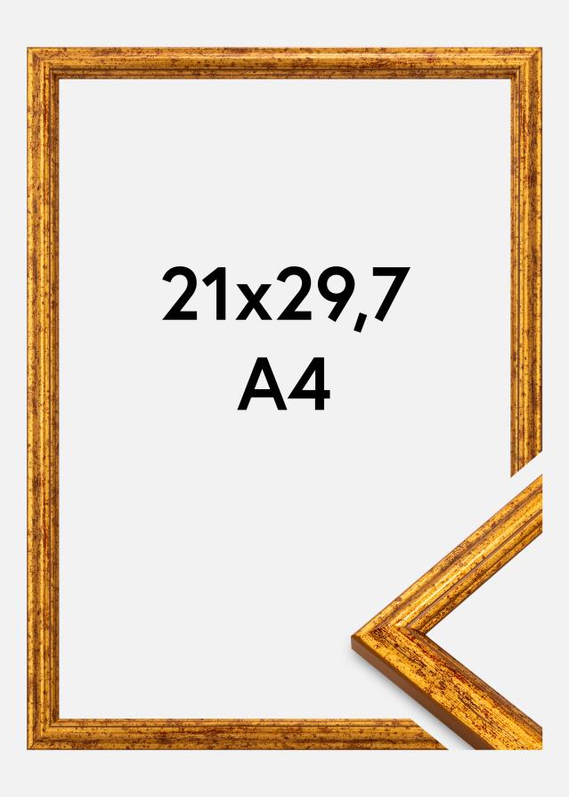 Jämtlands Ramfabrik Frame Claudia Acrylic Glass Gold 21x29.7 cm (A4)