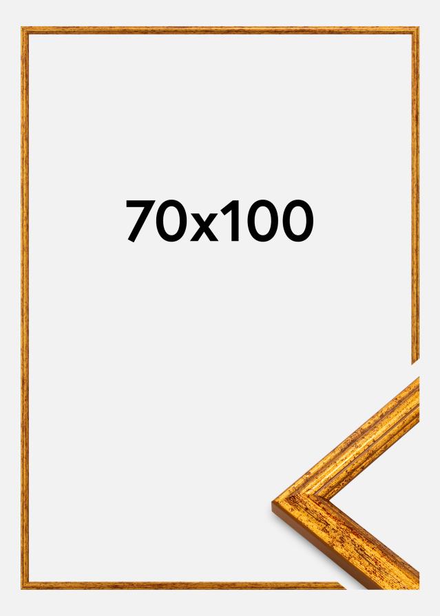 Jämtlands Ramfabrik Frame Claudia Acrylic Glass Gold 70x100 cm