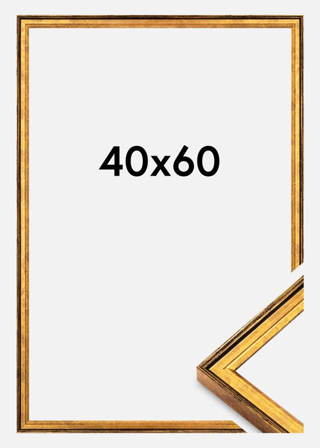 Jämtlands Ramfabrik Frame Ringa Acrylic Glass Gold 40x60 cm