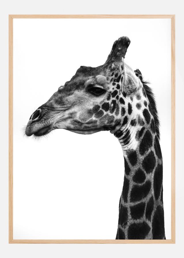 Bildverkstad Super Safari No1 Poster