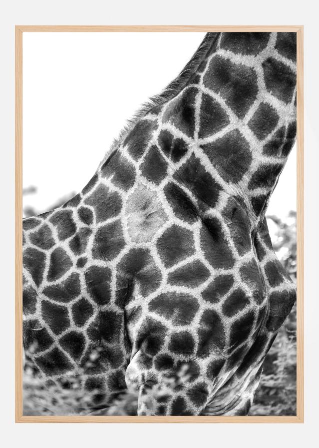 Bildverkstad Super Safari No3 Poster