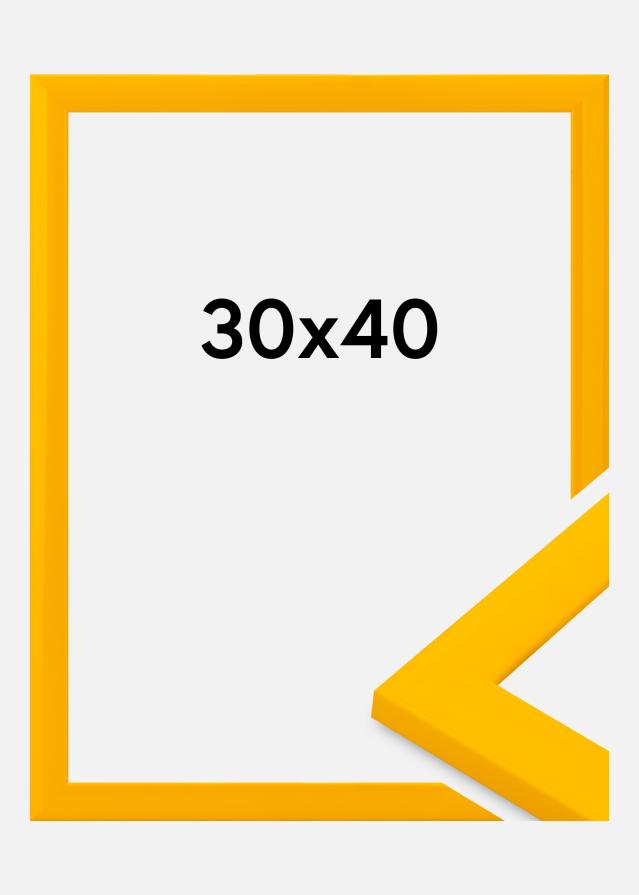 Jämtlands Ramfabrik Frame Dorset Acrylic Glass Gold 30x40 cm