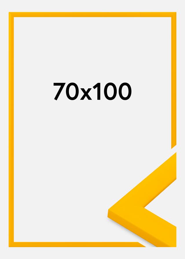 Jämtlands Ramfabrik Frame Dorset Acrylic Glass Gold 70x100 cm