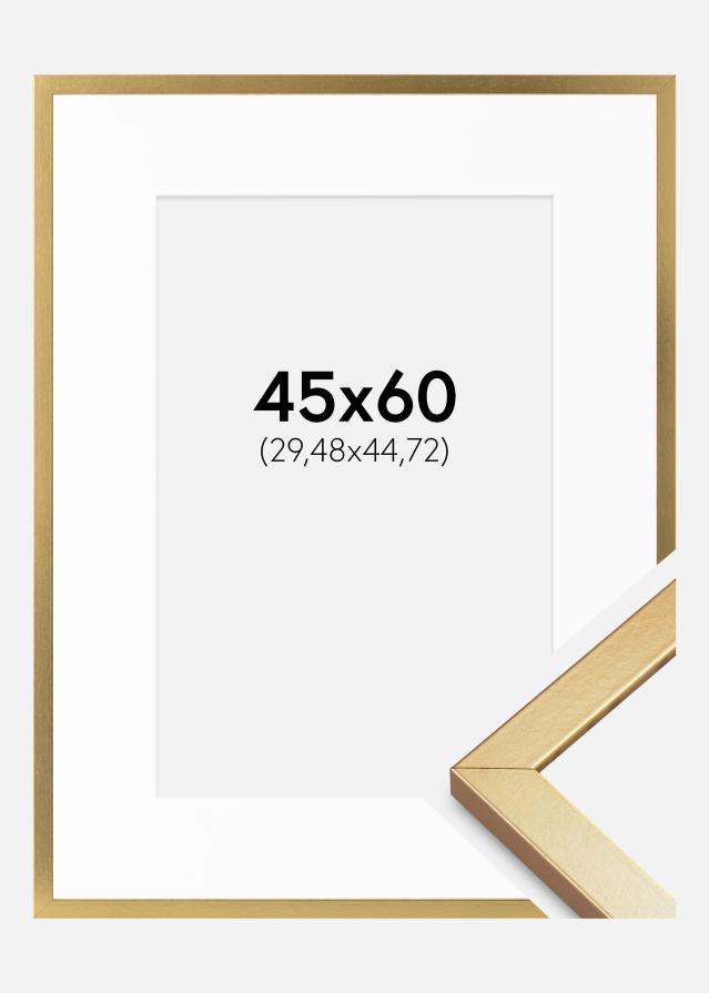 Ram med passepartou Frame Minerva Gold 45x60 cm - Mounts White 12x18 inches