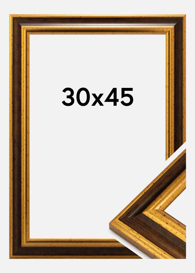 Jämtlands Ramfabrik Frame Aberystwyth Acrylic Glass Gold 30x45 cm