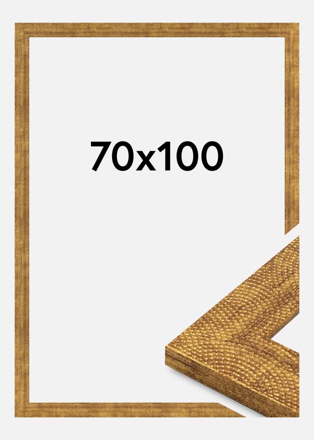 Jämtlands Ramfabrik Frame Linea Acrylic Glass Gold 70x100 cm