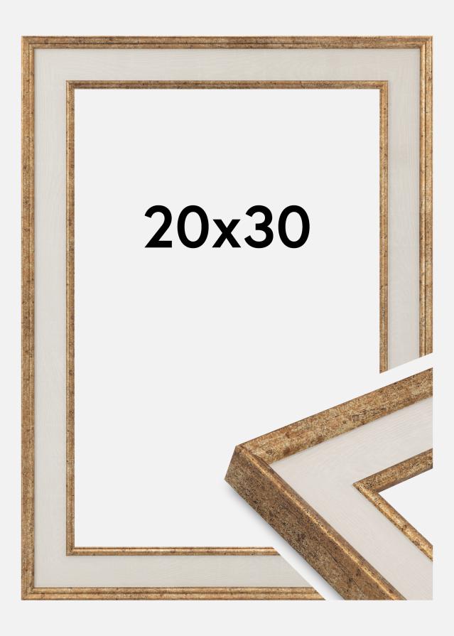 Jämtlands Ramfabrik Frame Dolly Acrylic Glass Gold 20x30 cm