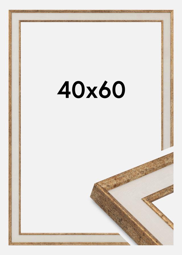 Jämtlands Ramfabrik Frame Dolly Acrylic Glass Gold 40x60 cm