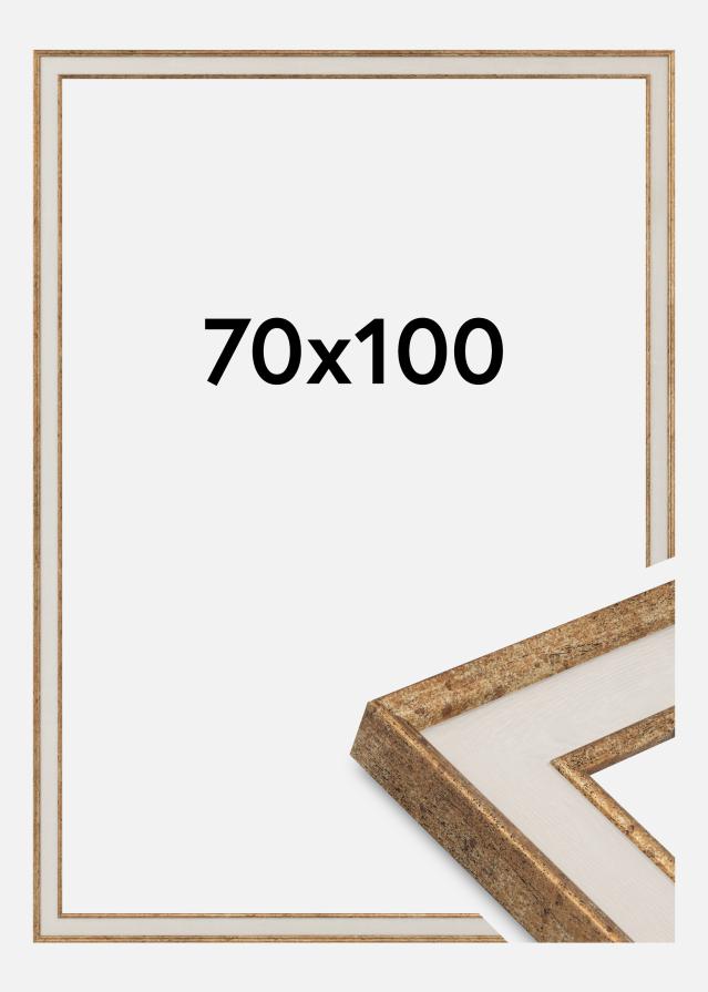 Jämtlands Ramfabrik Frame Dolly Acrylic Glass Gold 70x100 cm