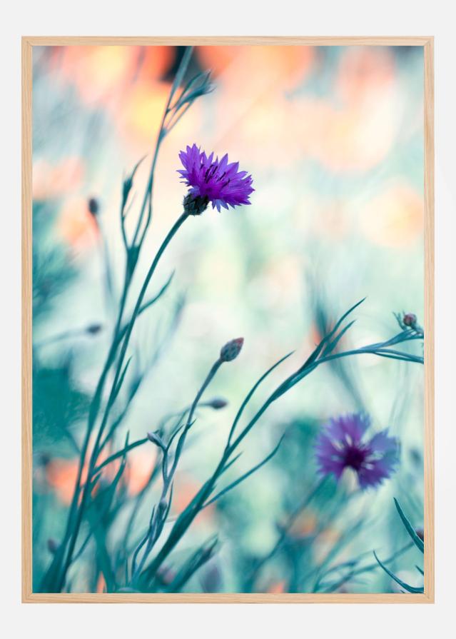 Bildverkstad Colors game II Poster