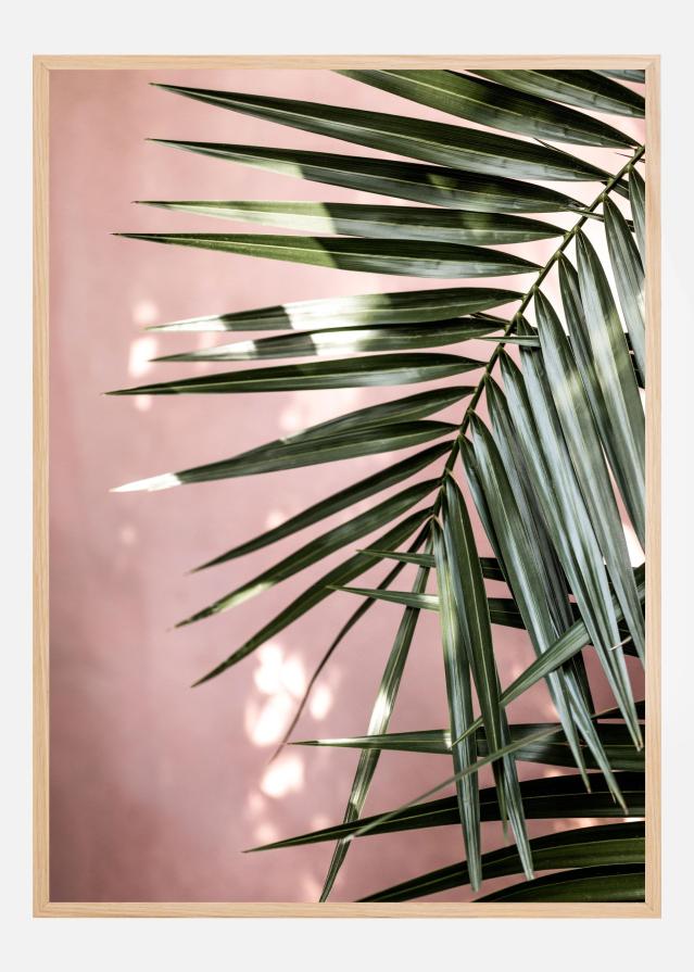 Bildverkstad Palm Leaves Poster