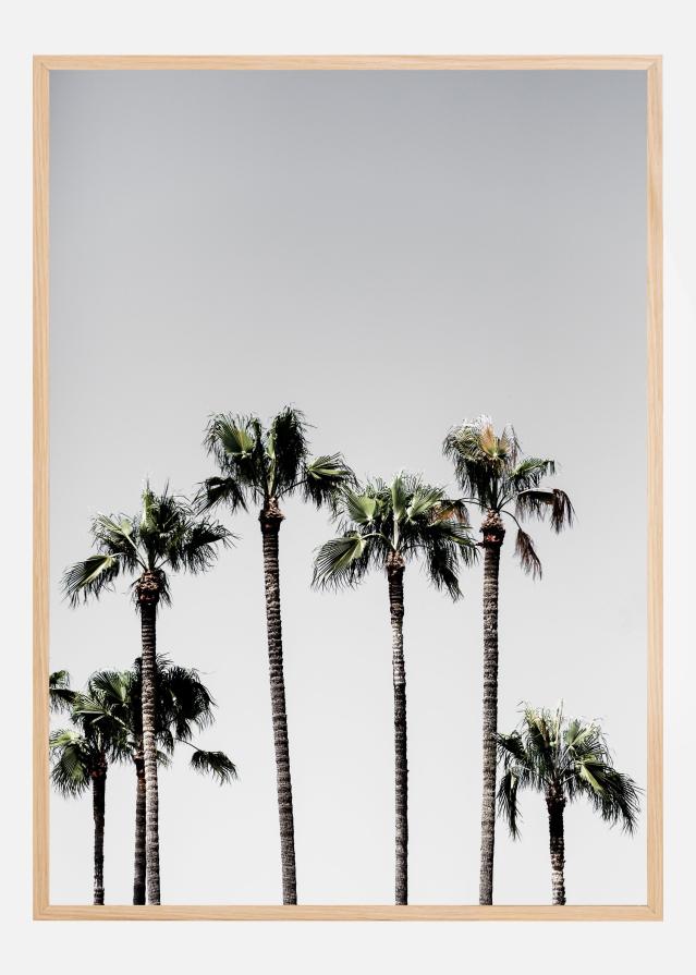 Bildverkstad Palm Trees Poster