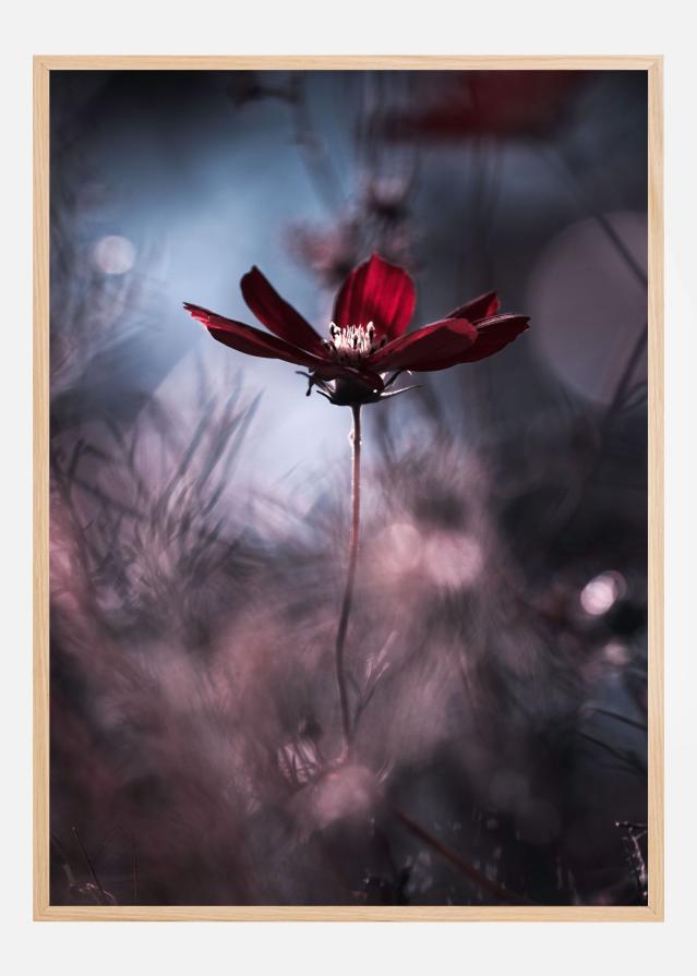 Bildverkstad Tenue de soirAce Poster