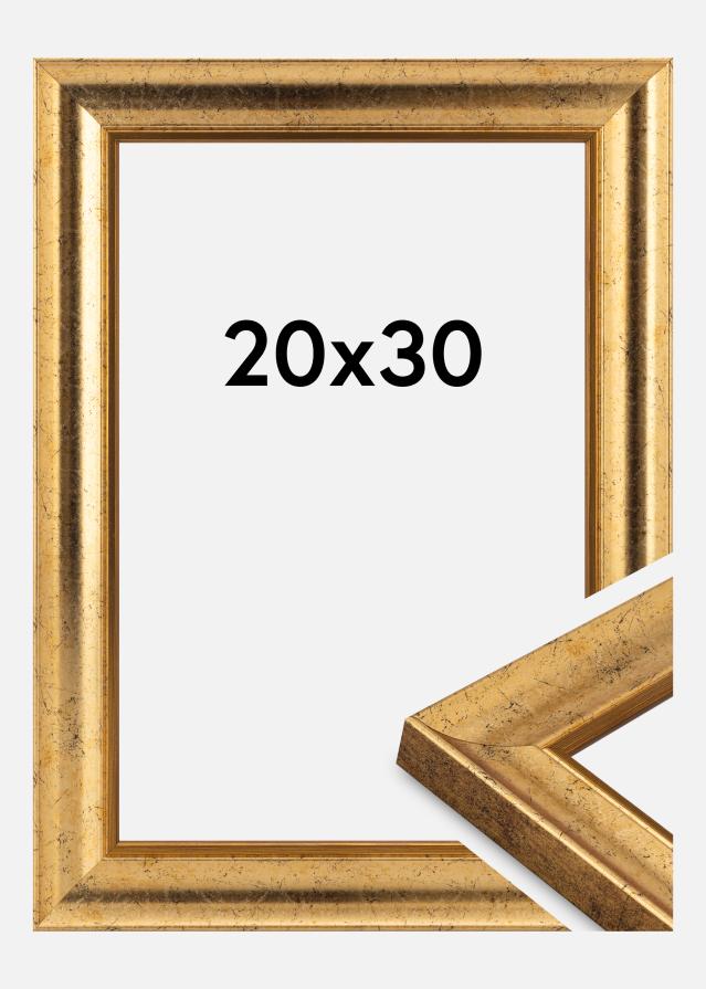 Jämtlands Ramfabrik Frame Conca Acrylic Glass Gold 20x30 cm