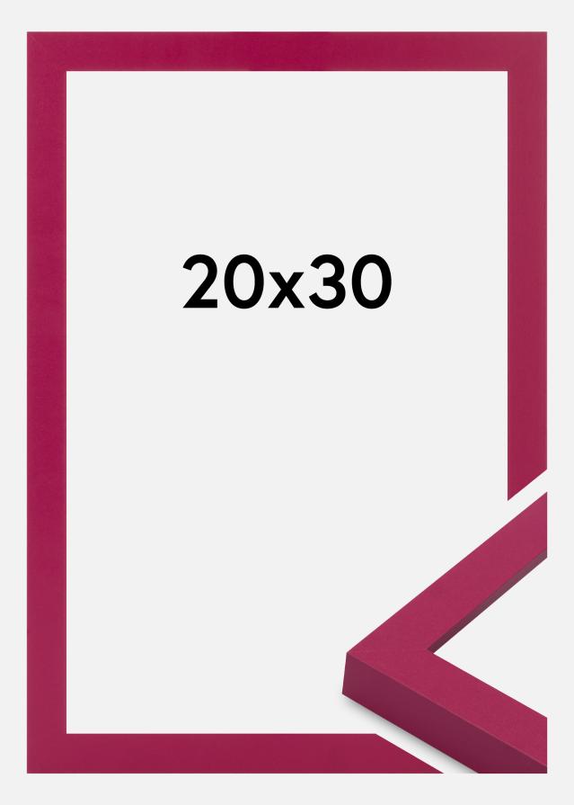 Jämtlands Ramfabrik Frame Selection Acrylic Glass Hot Pink 20x30 cm