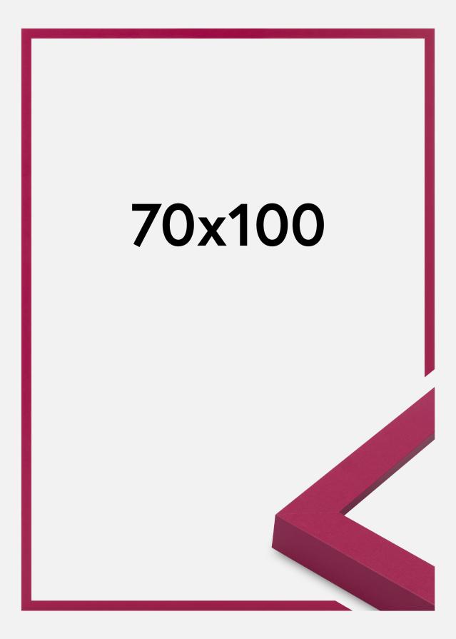 Jämtlands Ramfabrik Frame Selection Acrylic Glass Hot Pink 70x100 cm