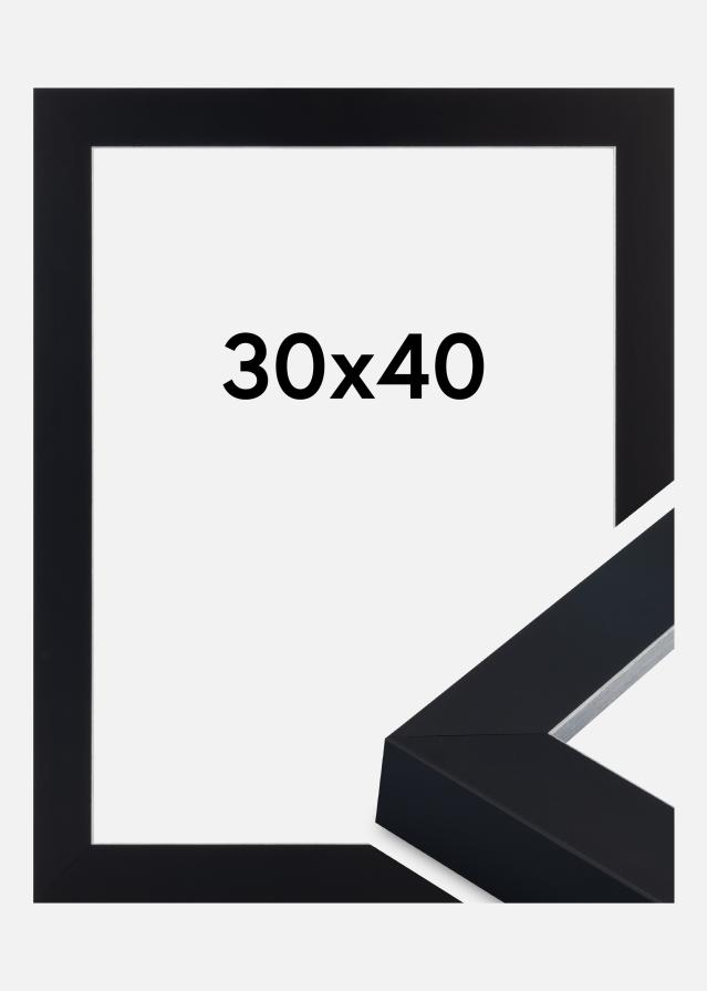 Jämtlands Ramfabrik Frame Sussex Acrylic Glass Black/Silver 30x40 cm