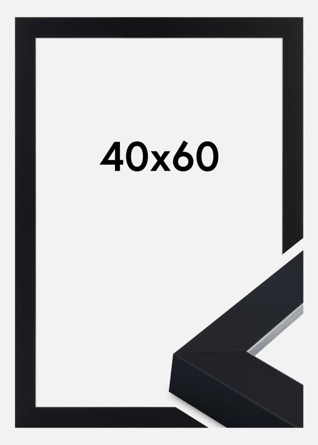 Jämtlands Ramfabrik Frame Sussex Acrylic Glass Black/Silver 40x60 cm