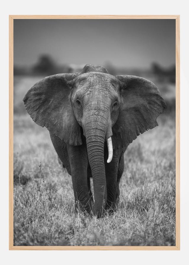 Bildverkstad SINGULARITY Poster