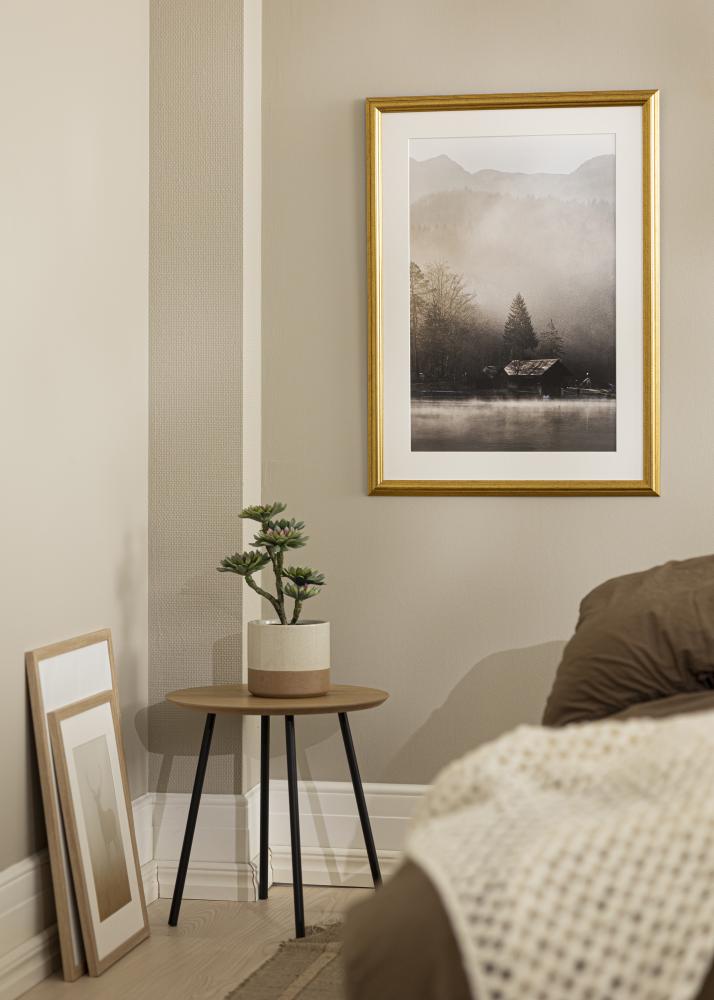 Jämtlands Ramfabrik Frame Västkusten Acrylic Glass Gold 5x7 inches (12.7x17.78 cm)