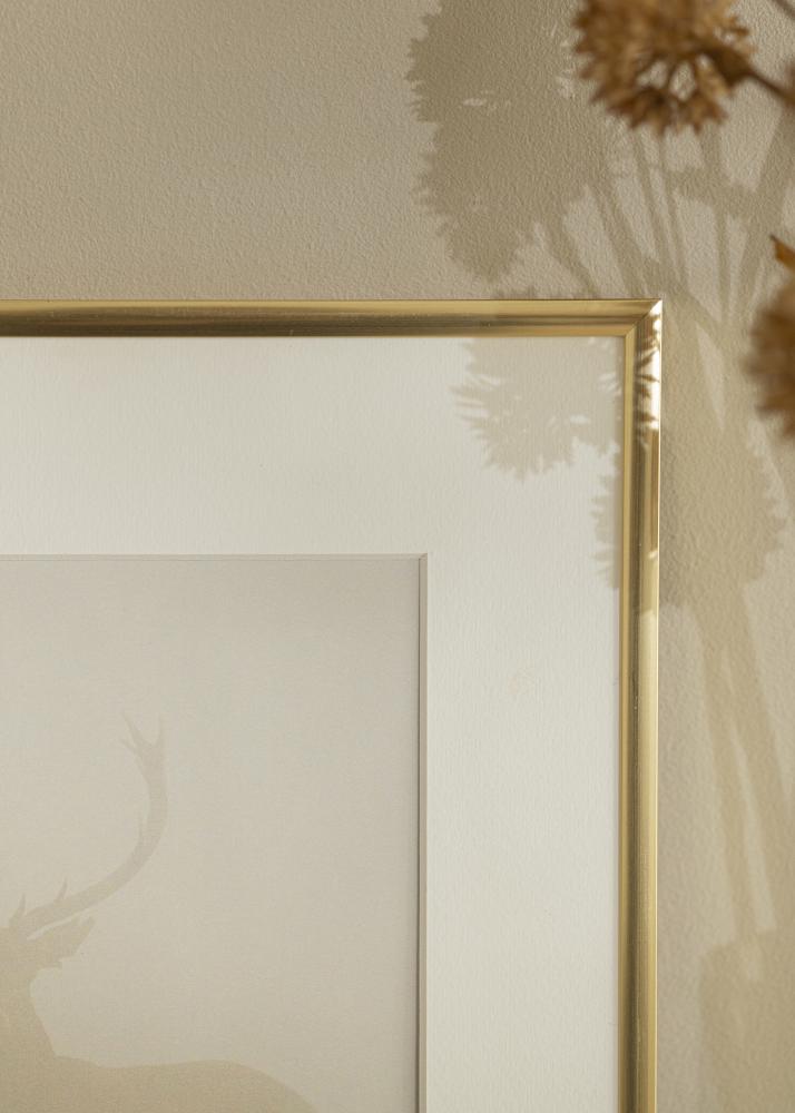 Ram med passepartou Frame New Lifestyle Gold 60x90 cm - Mounts White 40x70 cm