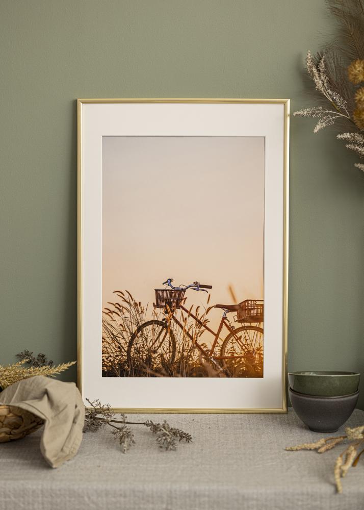 Ram med passepartou Frame New Lifestyle Gold 60x90 cm - Mounts White 40x70 cm