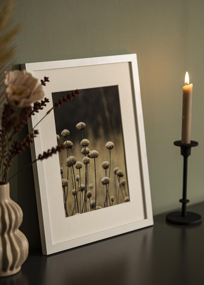 Jämtlands Ramfabrik Frame Selection Acrylic Glass White 20x30 cm