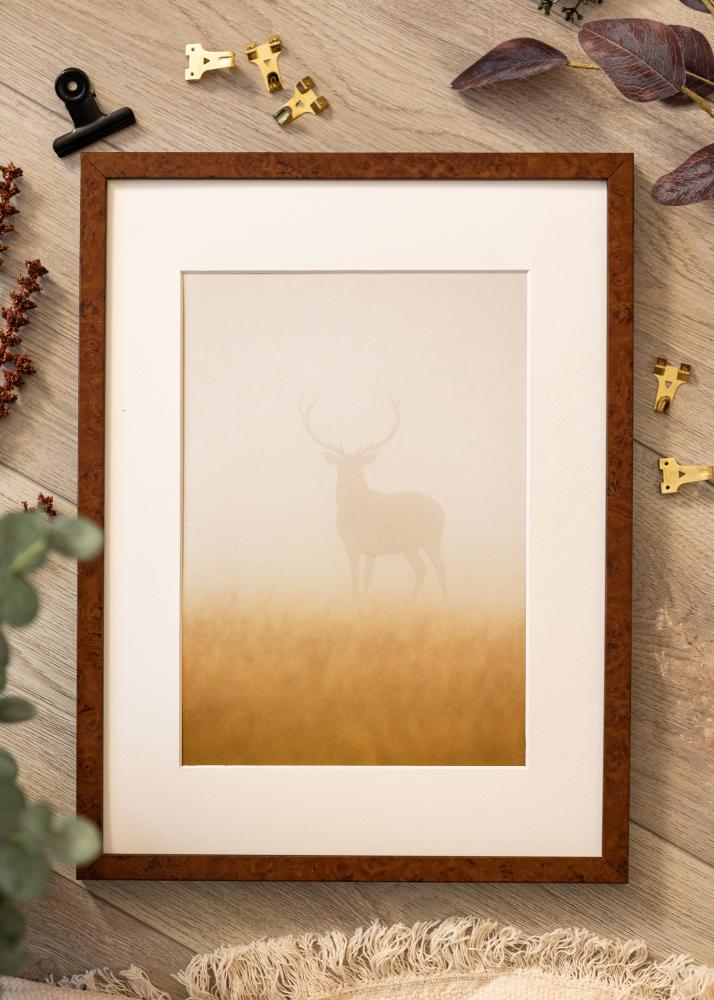 Ram med passepartou Frame Ares Walnut 45x60 cm - Mounts White 35x48 cm