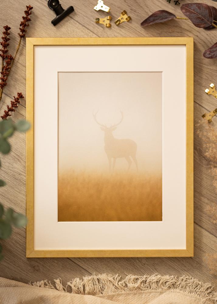Ram med passepartou Frame Ares Gold 40x40 cm - Mounts White 31x31 cm