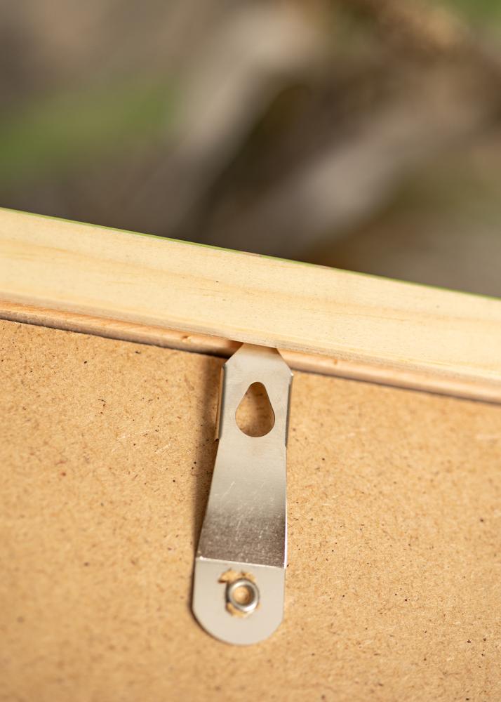 Ram med passepartou Frame Diana Light Green 50x65 cm - Mounts White 16x22 inches