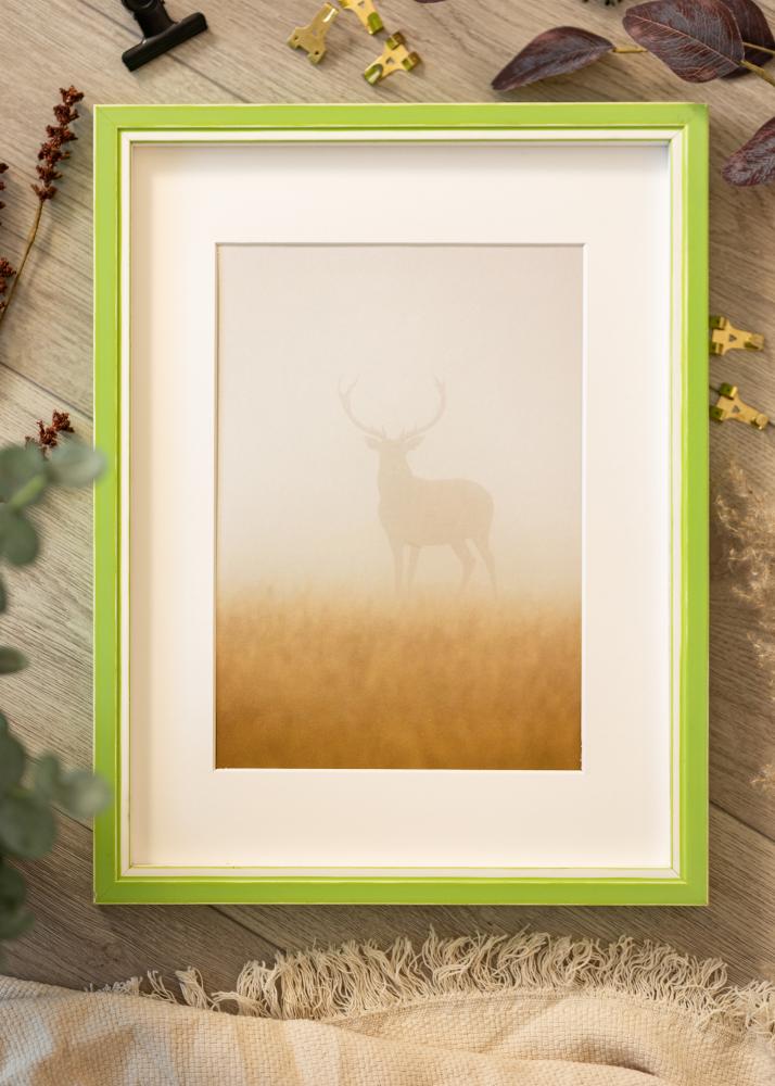 Ram med passepartou Frame Diana Light Green 50x65 cm - Mounts White 16x22 inches