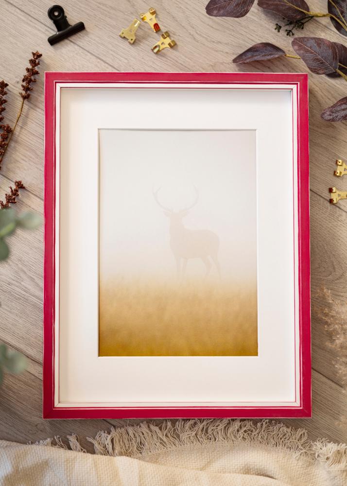 Ram med passepartou Frame Diana Red 20x25 cm - Mounts White 15x20 cm