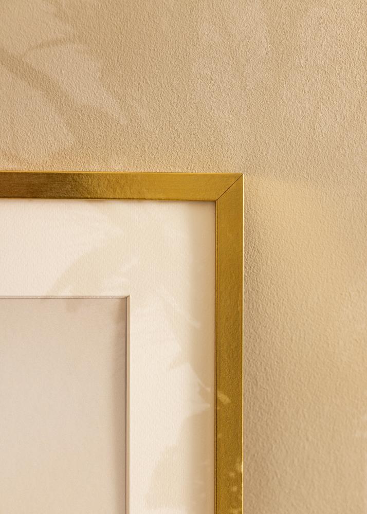 Ram med passepartou Frame Minerva Gold 40x50 cm - Mounts White 28x38 cm