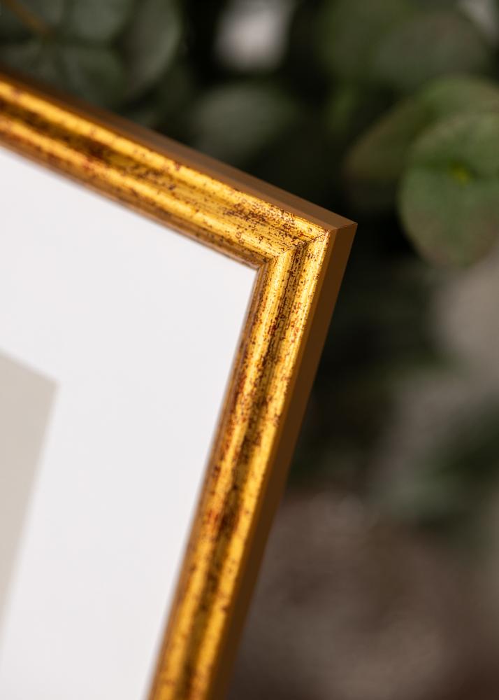 Jämtlands Ramfabrik Frame Claudia Acrylic Glass Gold 29,7x42 cm (A3)