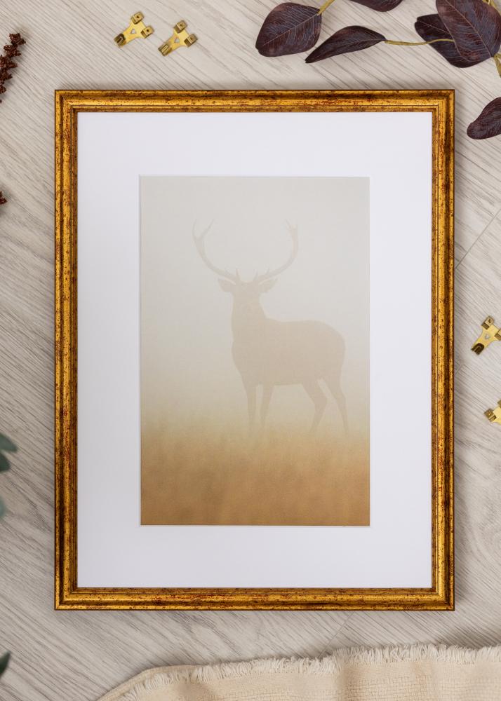 Jämtlands Ramfabrik Frame Claudia Acrylic Glass Gold 29,7x42 cm (A3)