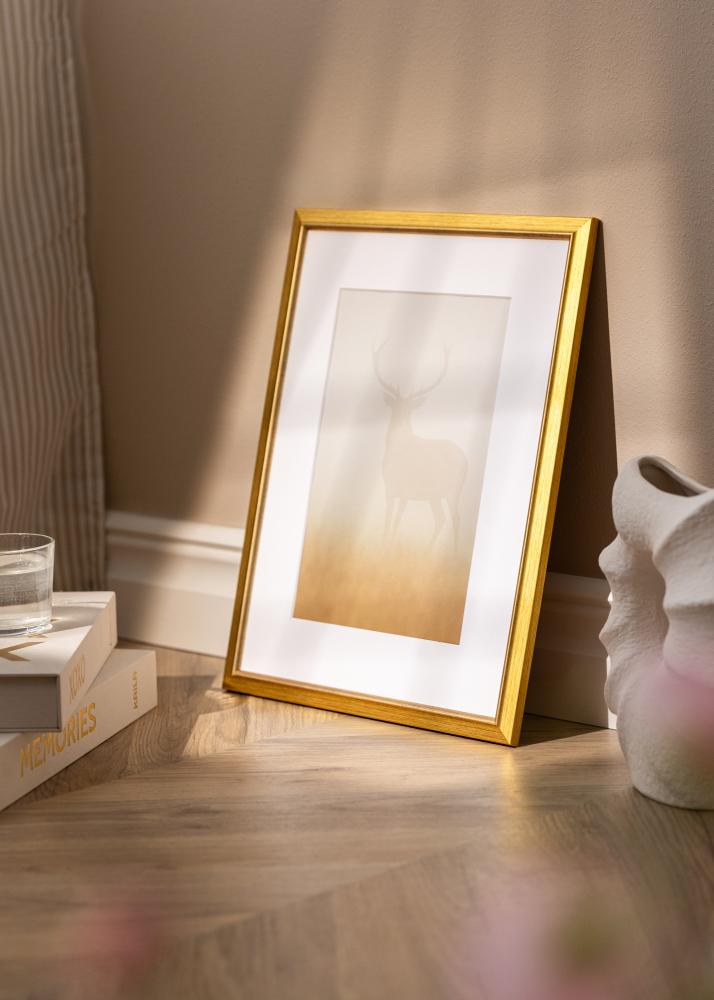 Jämtlands Ramfabrik Frame Marisa Acrylic Glass Gold 50x70 cm